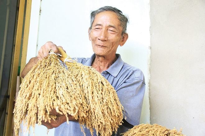 Khôi phục nghề làm phở sắn