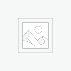 Nơi nhập dữ liệu